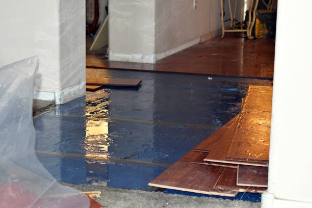 Professional Emergency Water Damage Restoration technician working in Montgomery Village, MD